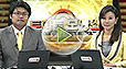 토마토TV